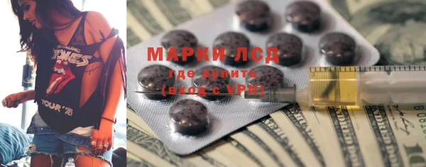 прущие грибы Баксан