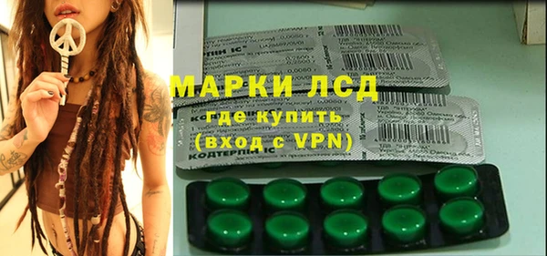 прущие грибы Баксан