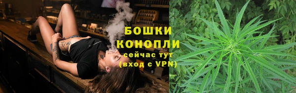 прущие грибы Баксан