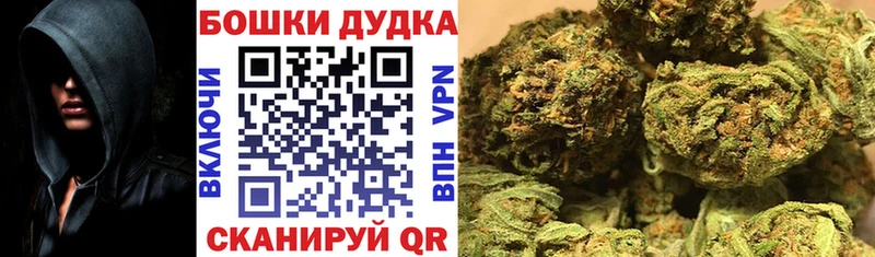 Конопля сатива Белоусово